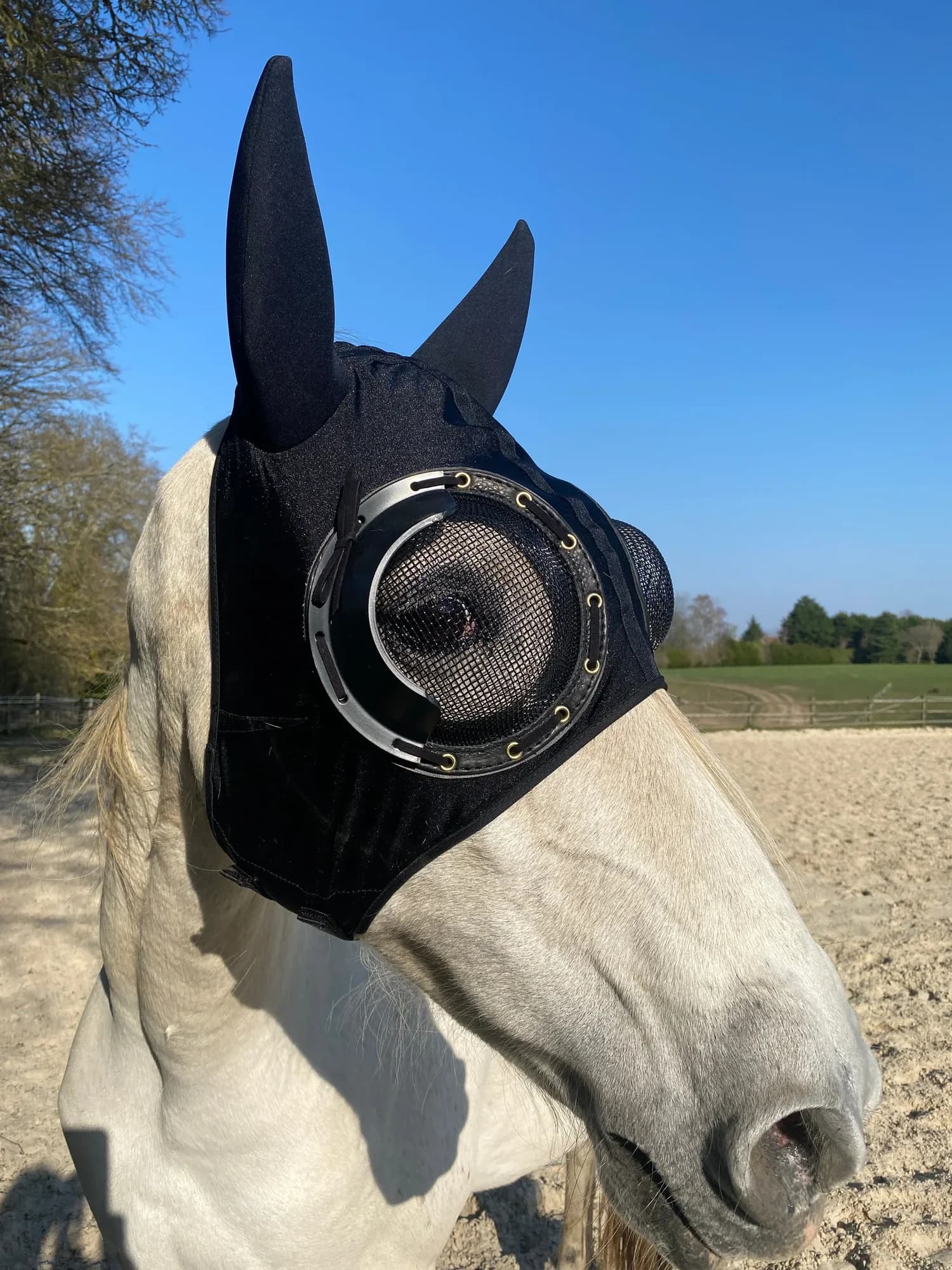 Masque à œillière