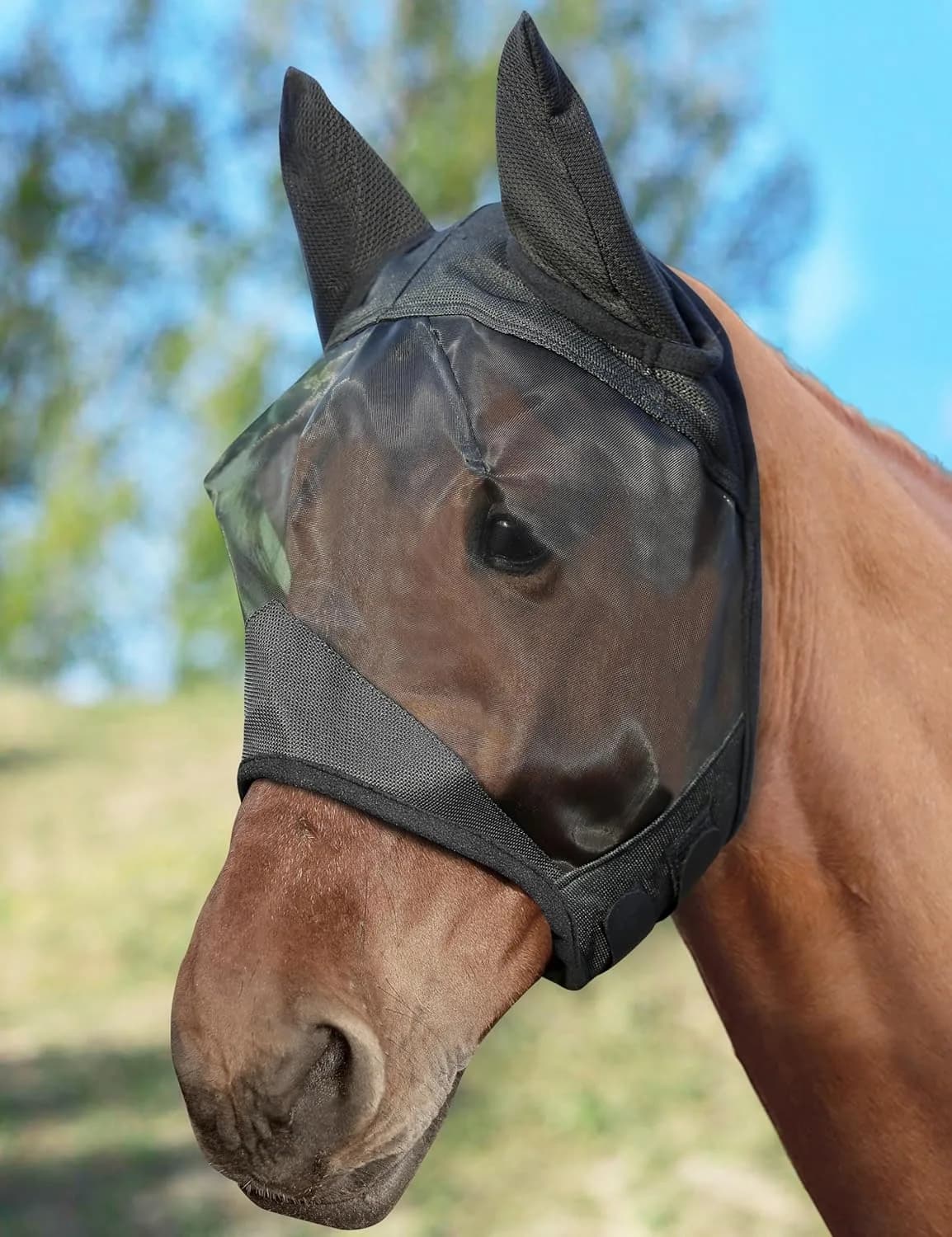 Fliegenmaske
