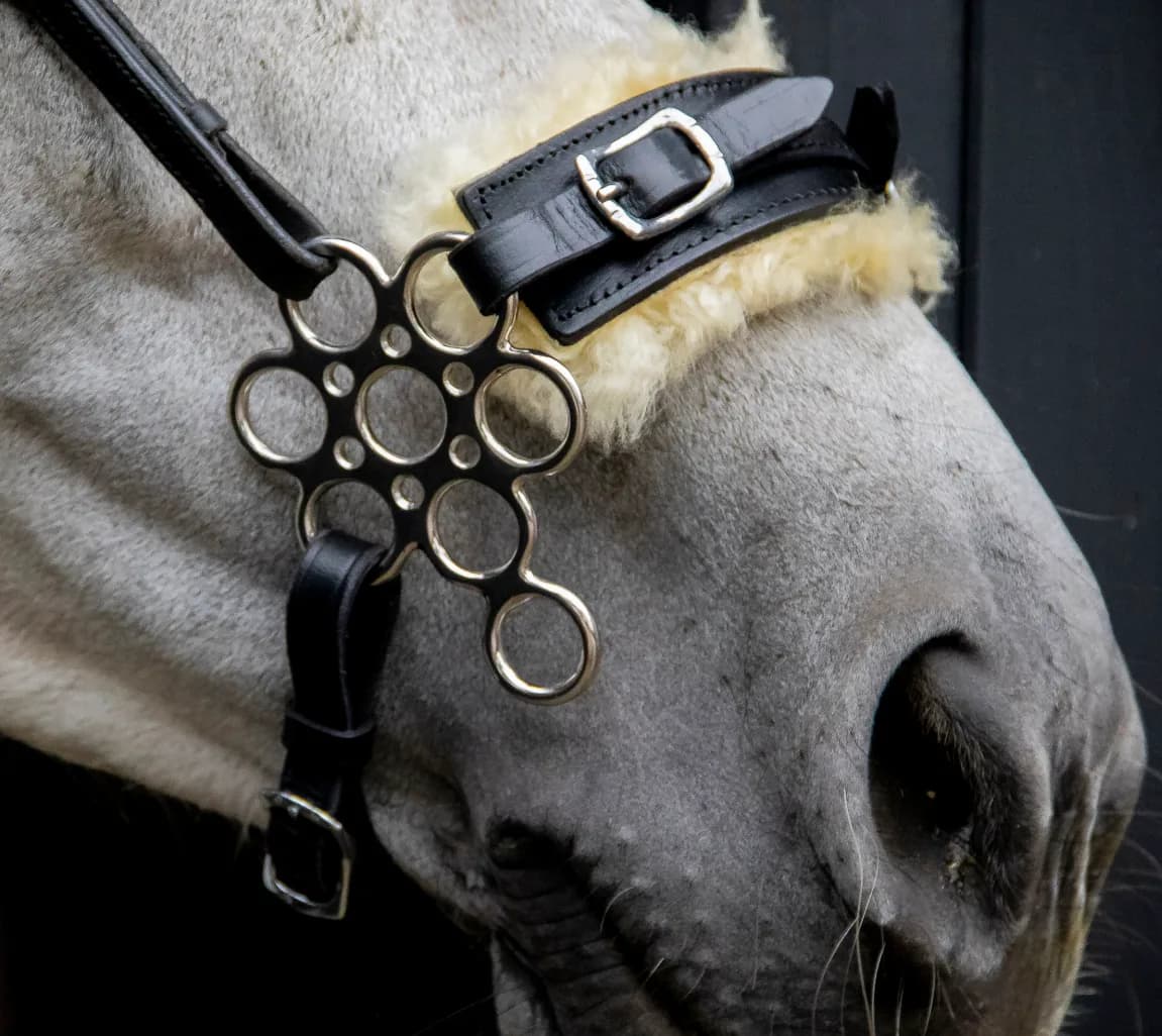 Glücksrad Hackamore thumbnail 2