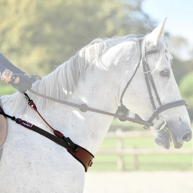Freejump collar