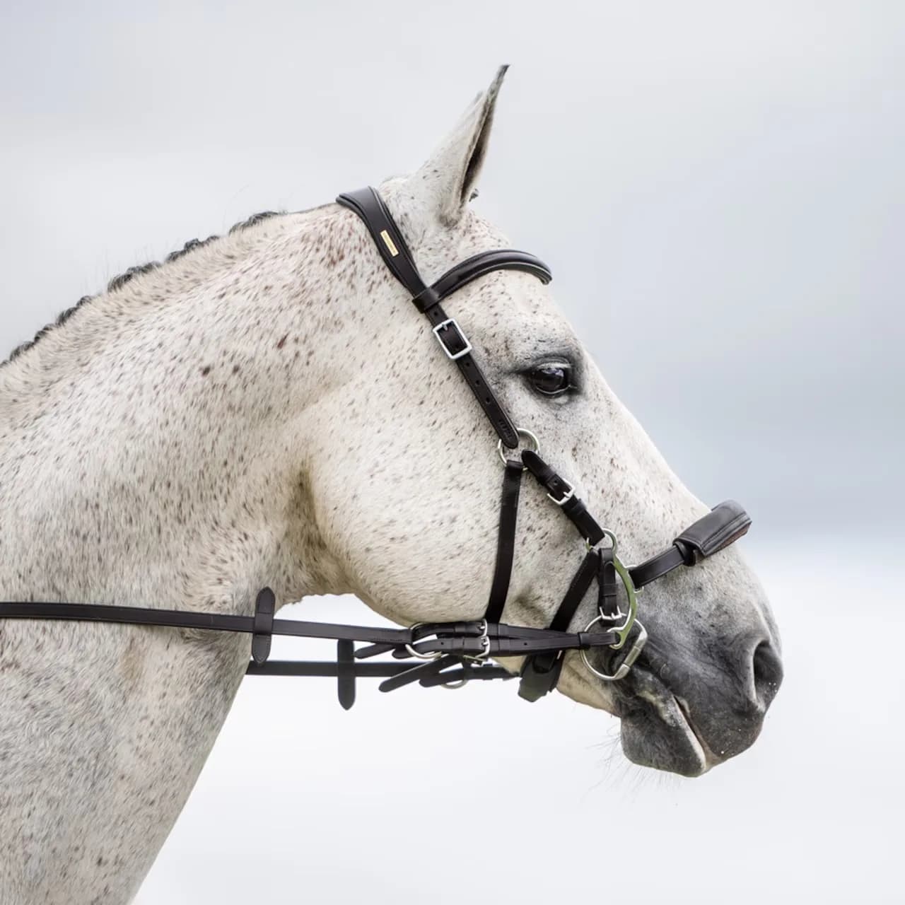 Kombinierte Hackamore thumbnail 3