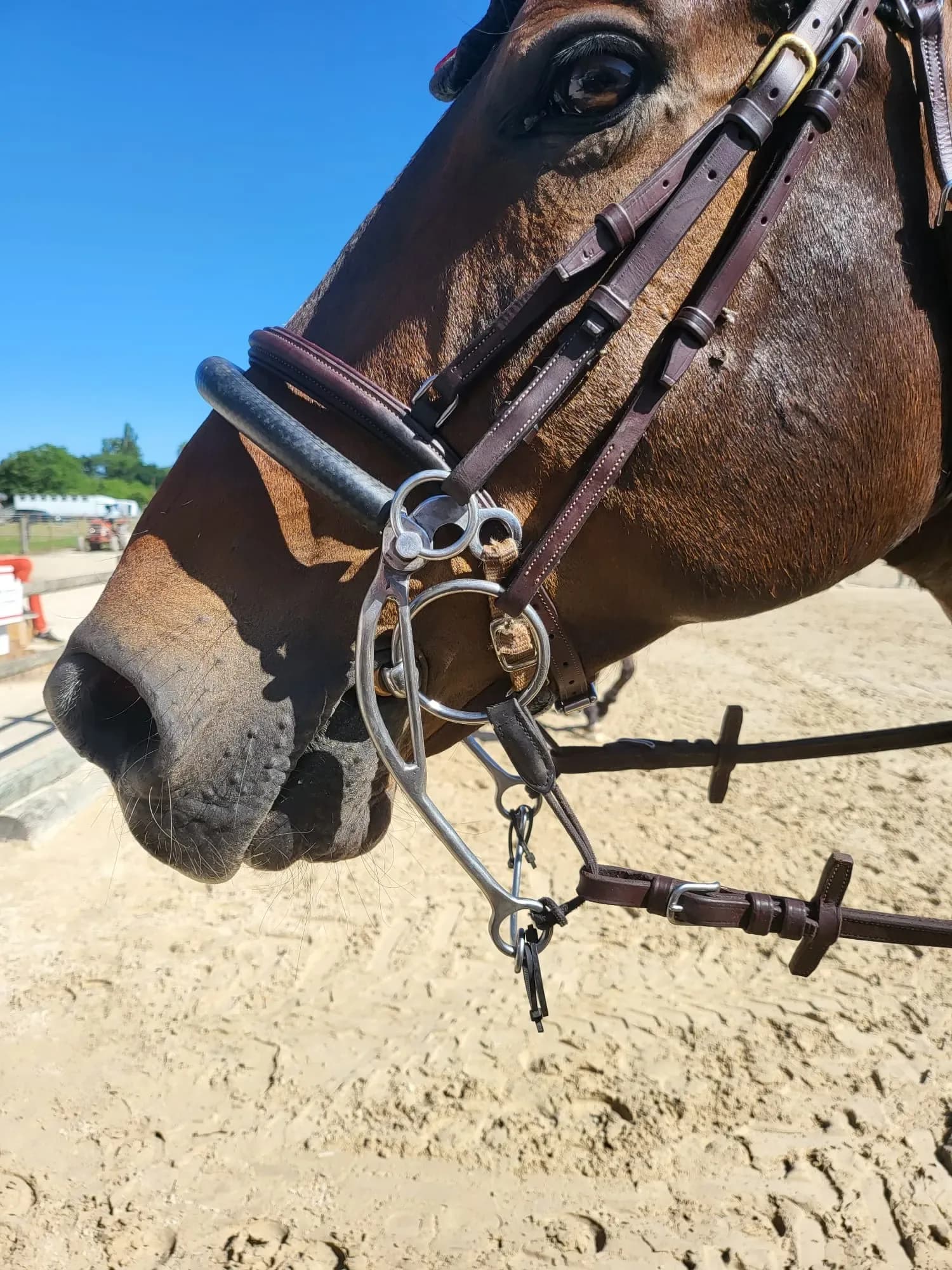 Kombinierte Hackamore