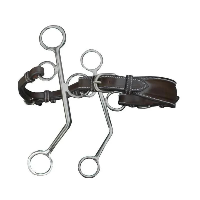 Hackamore thumbnail 3
