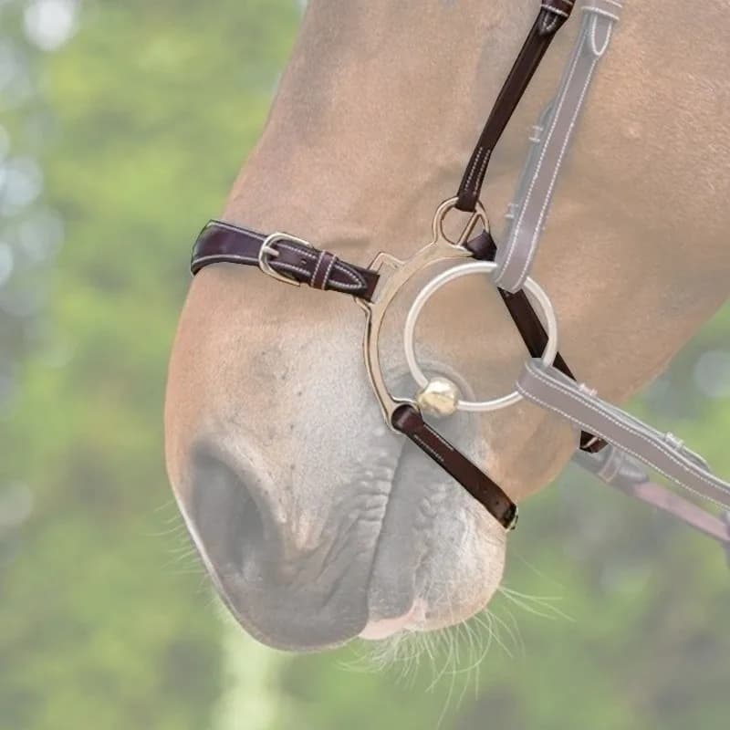 Hackamore Nasenband