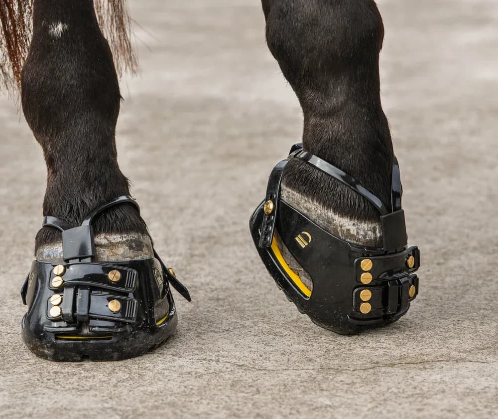 Hipposandale