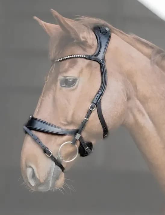 Freedom Bridle
