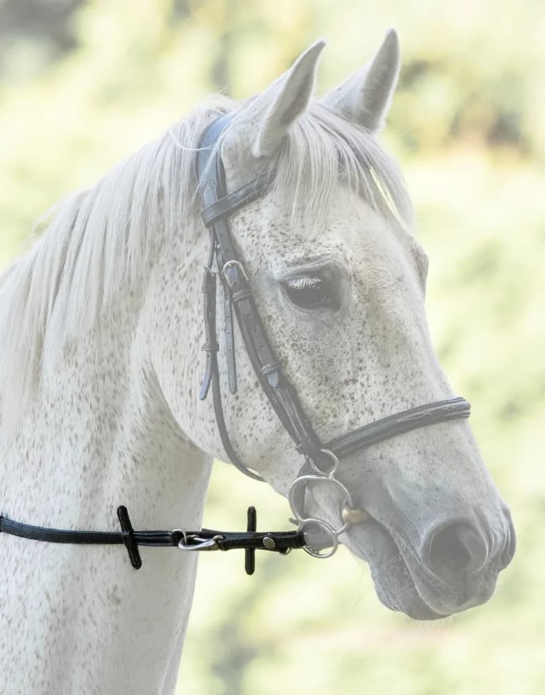 Snap'n Snaffle Zügel