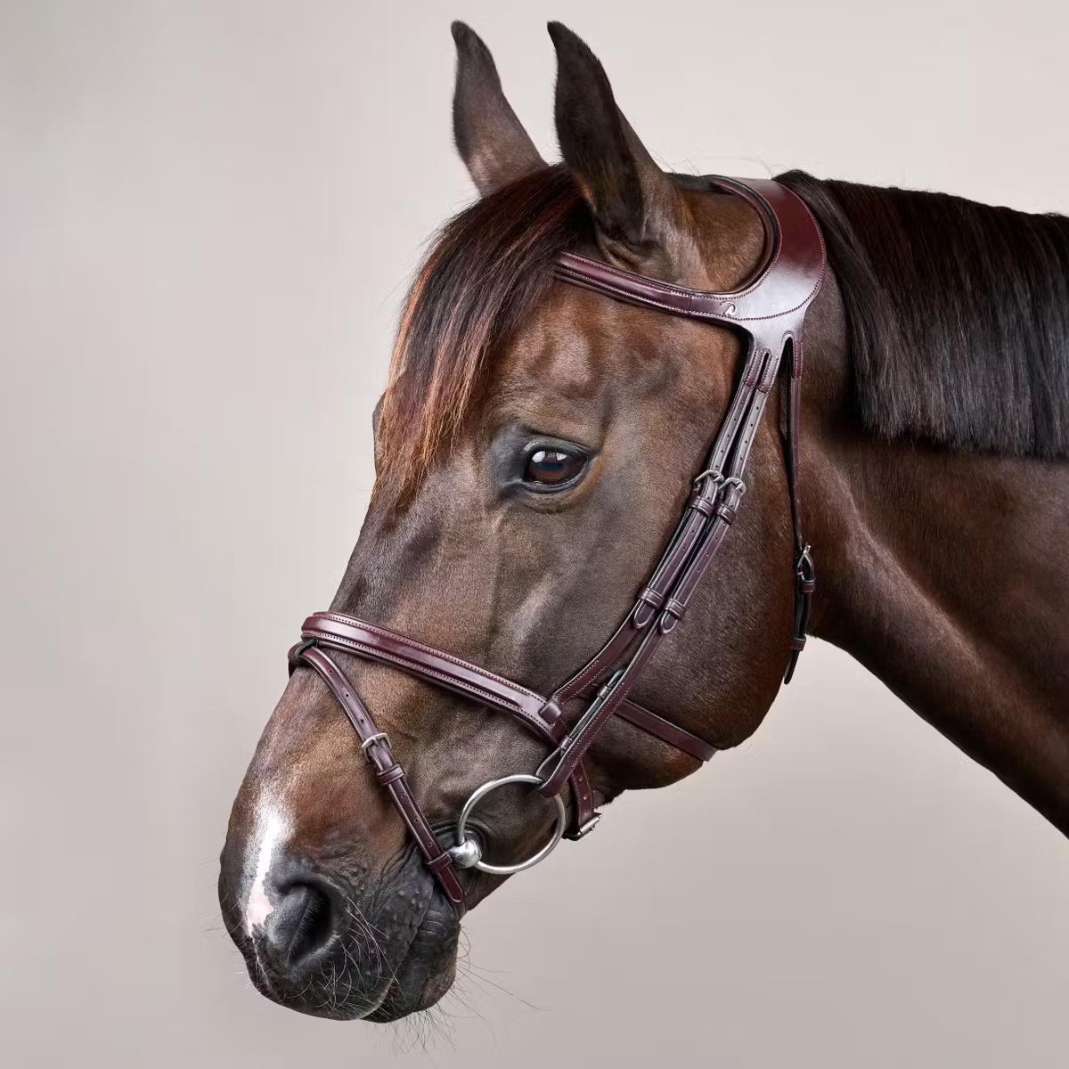 Difference Reithalfter