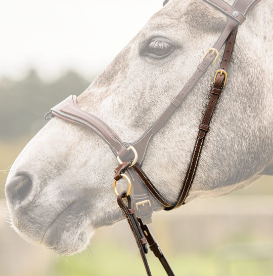 Gebisslose Zäumung mit gekreuzten Zügel