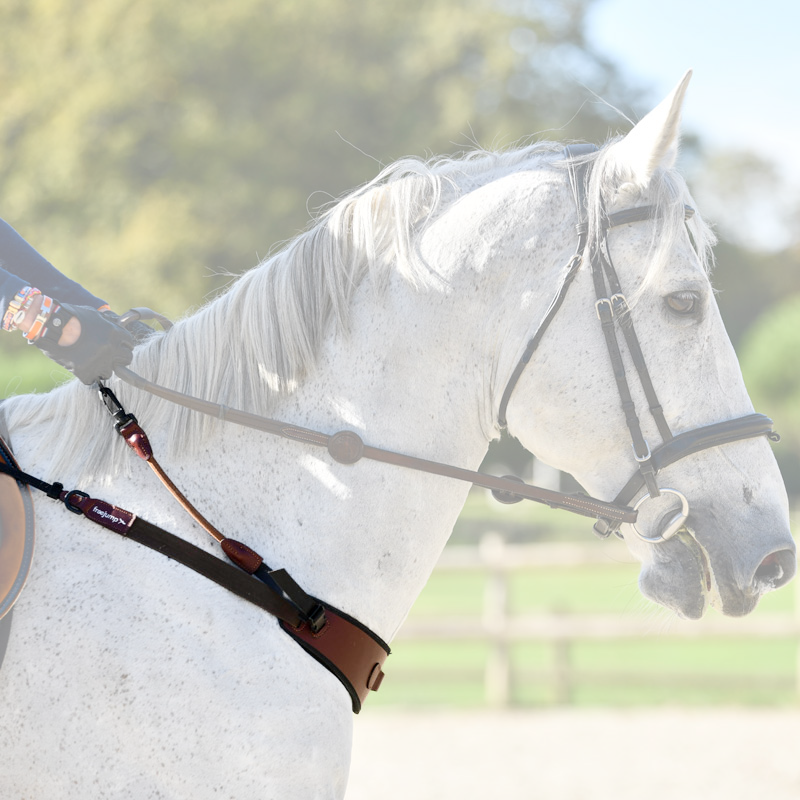 Freejump collar