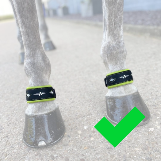 Fesselgelenk Neoprenringe