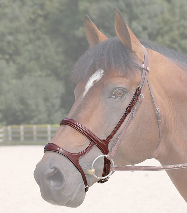 Doppelter Reithalfter