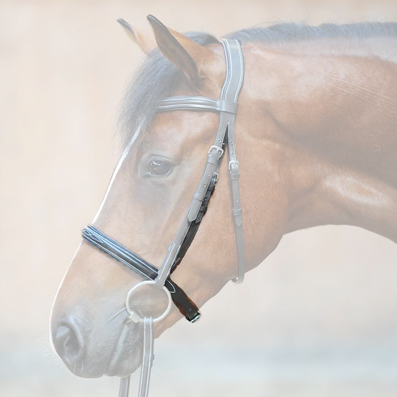 Englisher Reithalfter