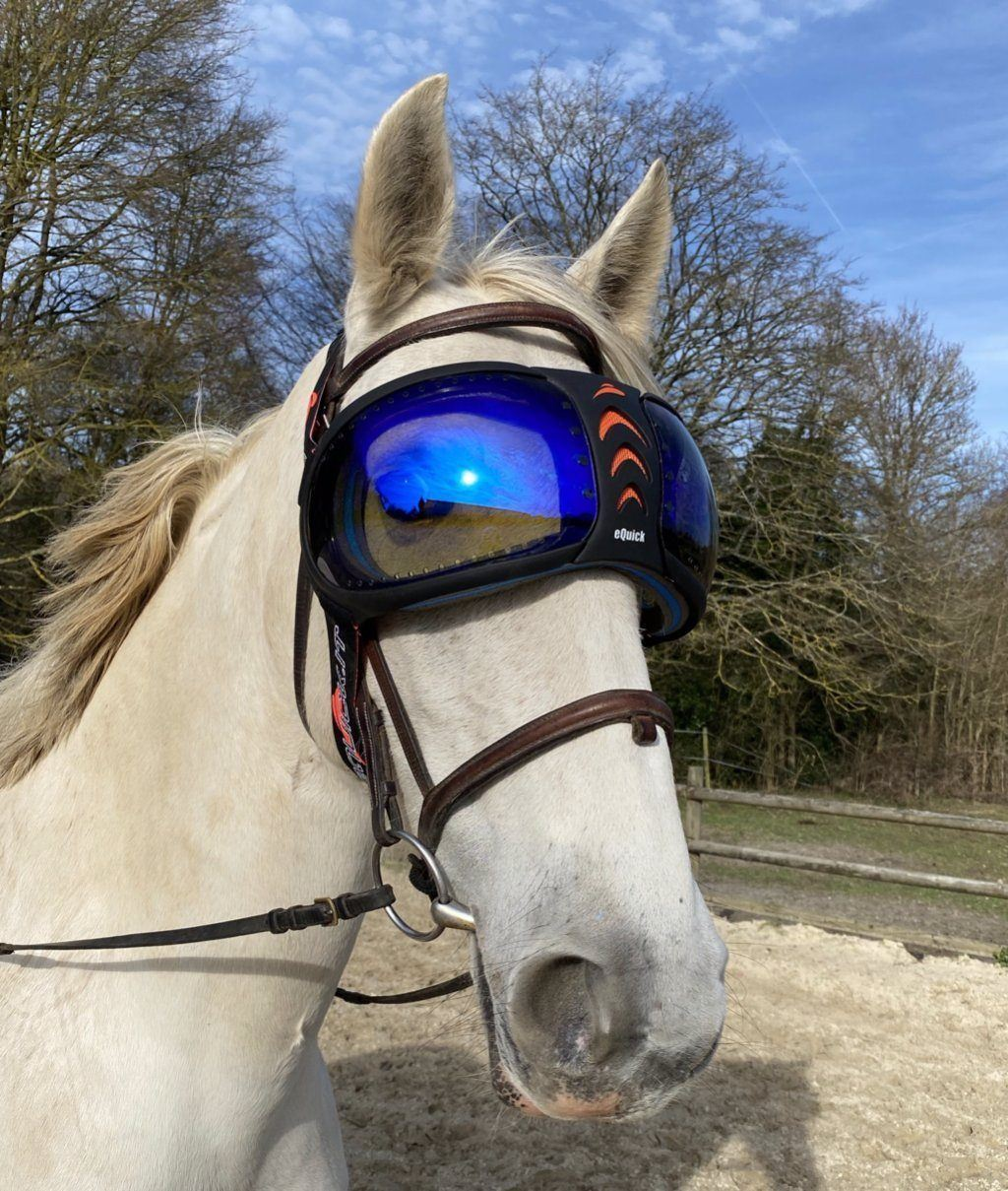 Pferdesonnenbrille