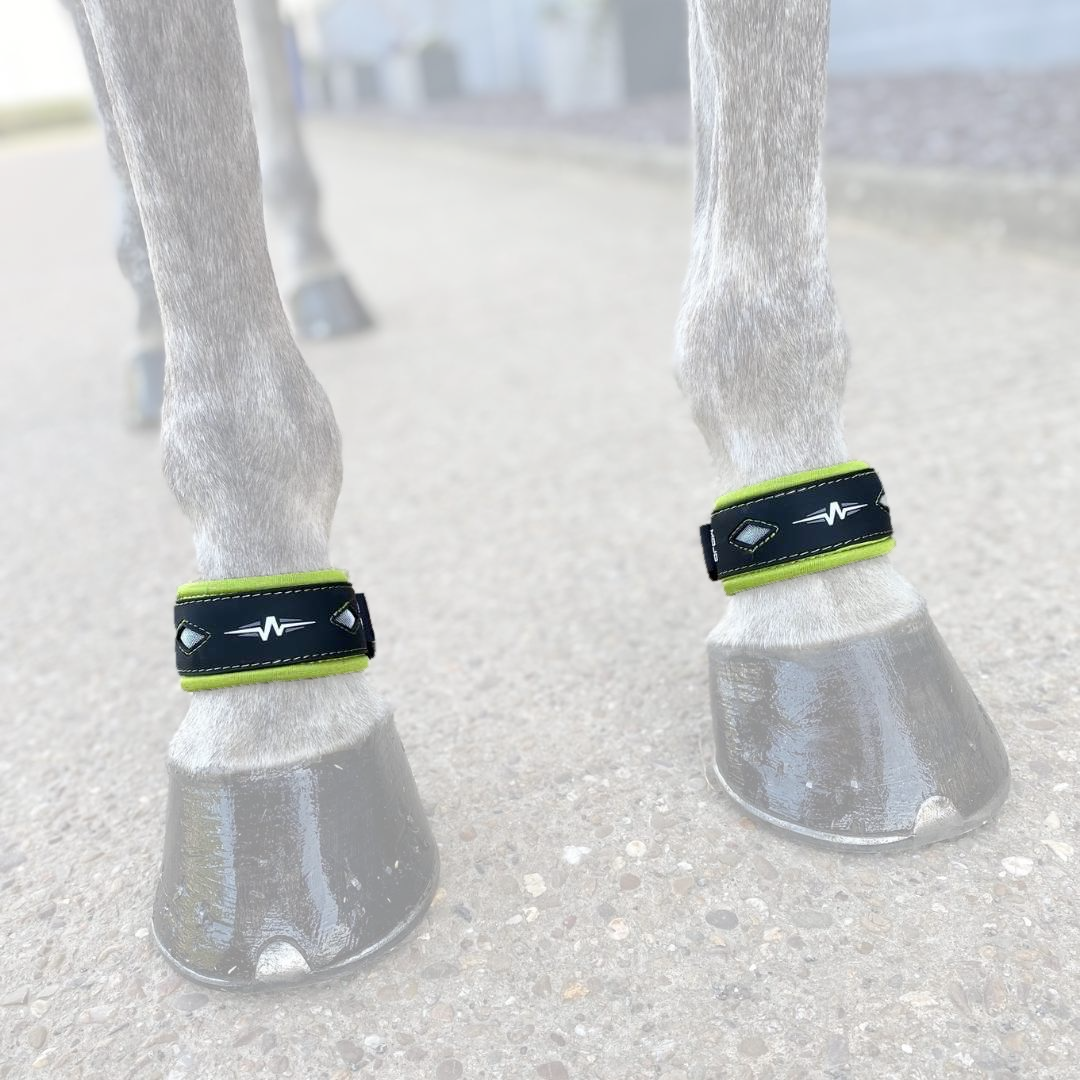 Fesselgelenk Neoprenringe