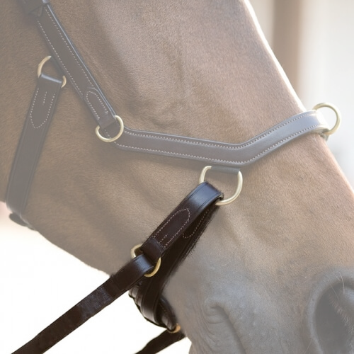 Gebisslose Zäumung mit Zugband